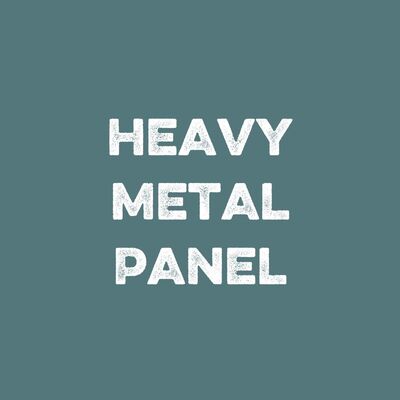 Heavy Metal Panel
