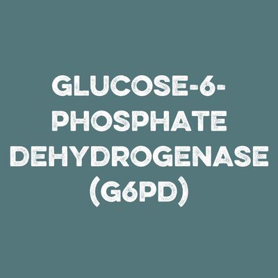 G6PD